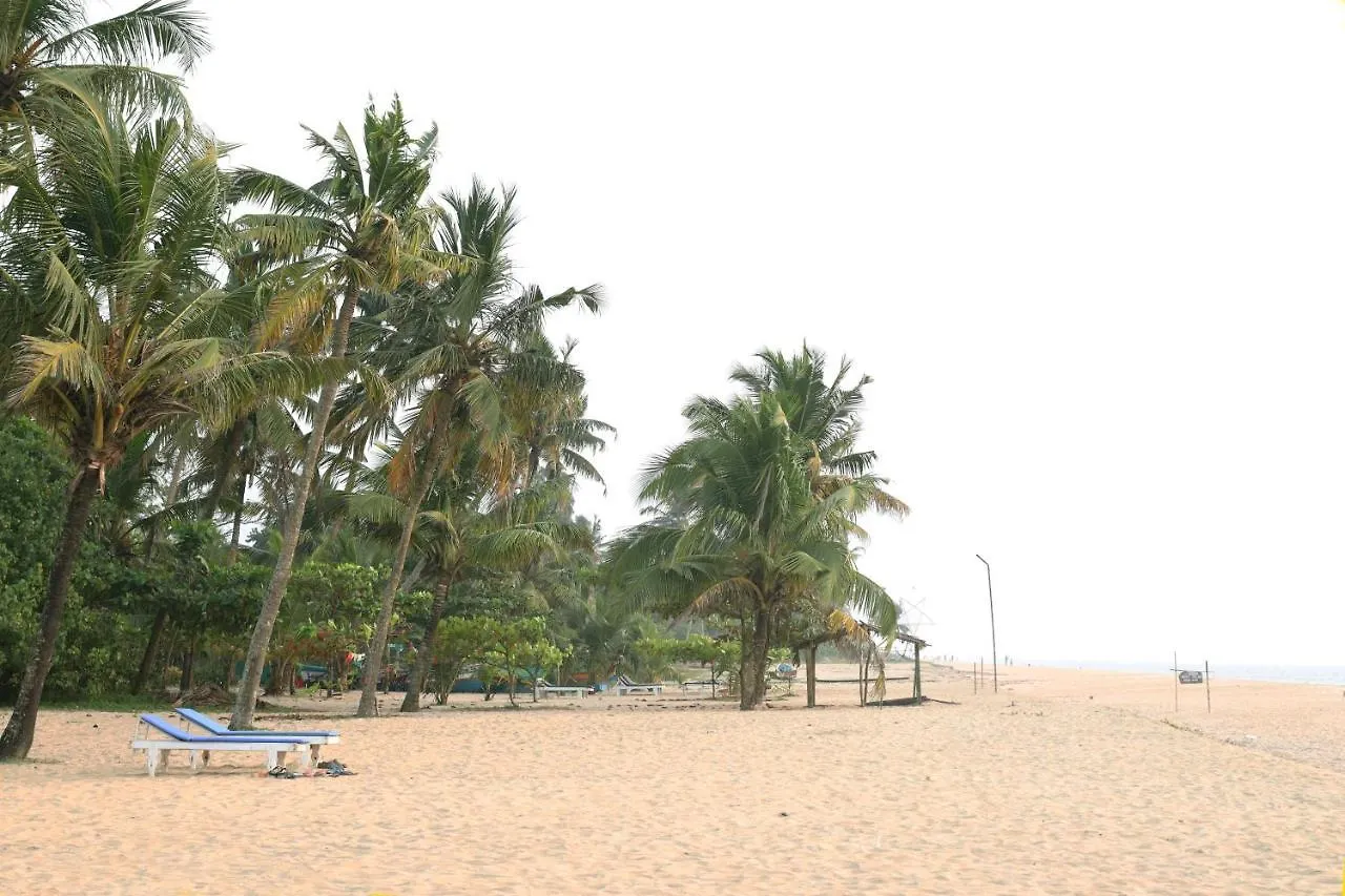 Marari Eclipse Homestays Alappuzha
