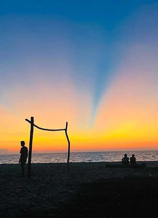 Marari Eclipse Homestays Alappuzha India